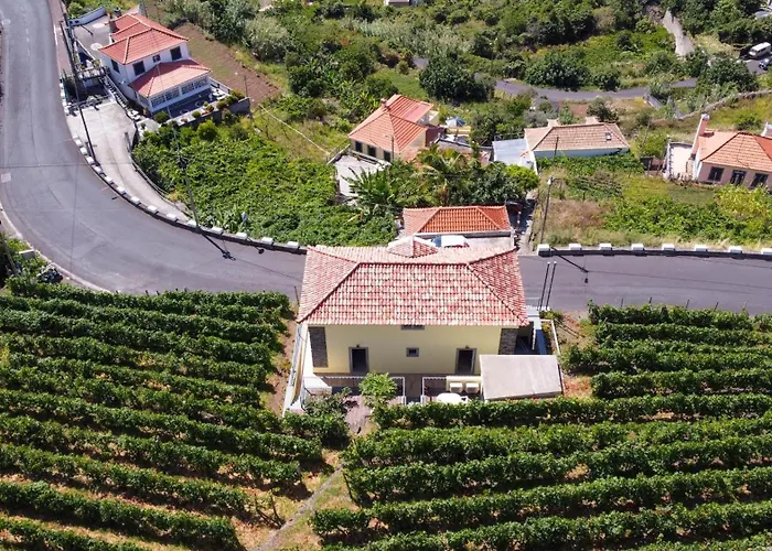 My School Ii By Atlantic * פונטה דלגדה